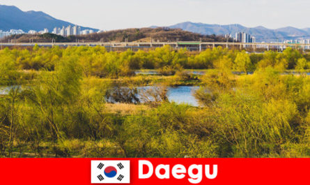Daegu, Güney Kore'de bağımsız gezginler için en iyi ipuçları