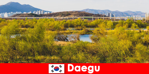 Daegu, Güney Kore’de bağımsız gezginler için en iyi ipuçları