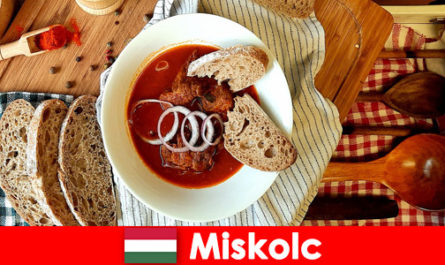 Miskolc Macaristan'daki konuklar yerel bölgelerin ve kültürün tadını çıkarıyor