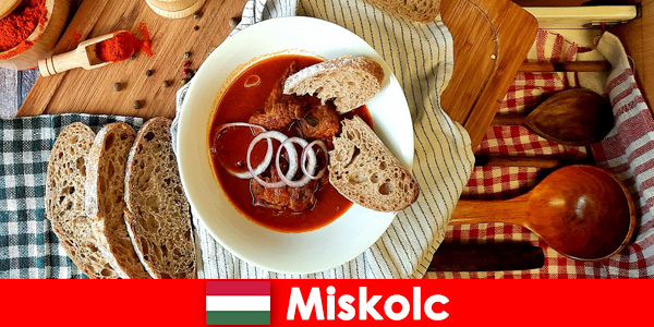 Miskolc Macaristan’daki konuklar yerel bölgelerin ve kültürün tadını çıkarıyor