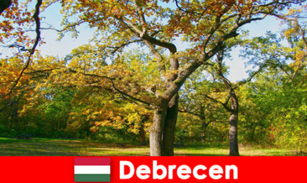 Debrecen Macaristan'da çok kalbi olan emekliler için spa tatili