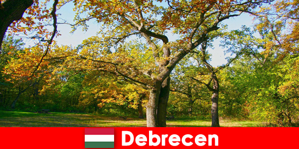 Debrecen Macaristan’da çok kalbi olan emekliler için spa tatili