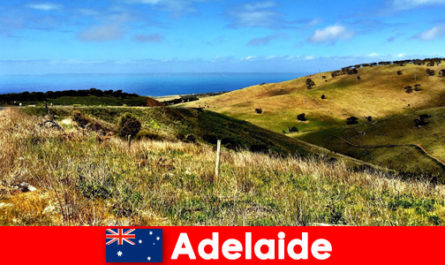 Harika doğal dünyada Adelaide Avustralya'ya tatilciler için uzun mesafeli seyahat
