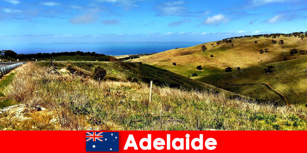 Harika doğal dünyada Adelaide Avustralya’ya tatilciler için uzun mesafeli seyahat