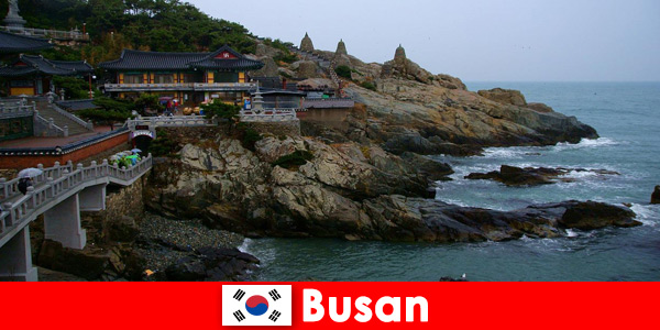 Busan Güney Kore aşık olunacak bir şehir