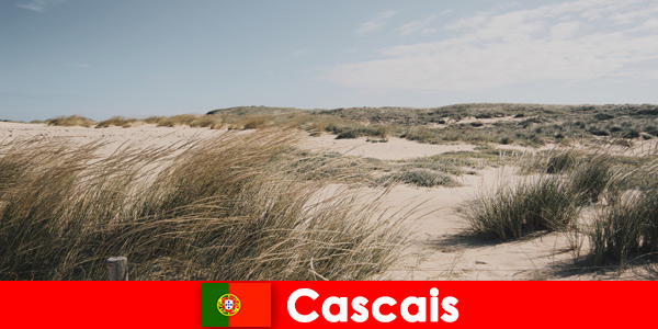 Rüzgar, güneş ve deniz, Cascais Portekiz'de muhteşem bir huzur sunar