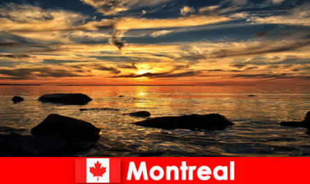 Turistler, Montreal Kanada'da plaj, deniz ve birçok doğayı deneyimliyor