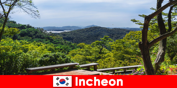 Incheon Güney Kore'de şehir ve doğa birbiriyle çok iyi uyum sağlar