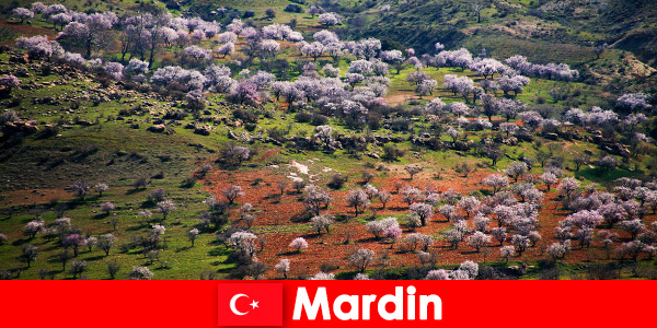 Mardin Türkiye'de el değmemiş doğayı ve birçok yerli hayvanı açık havada deneyimleyin