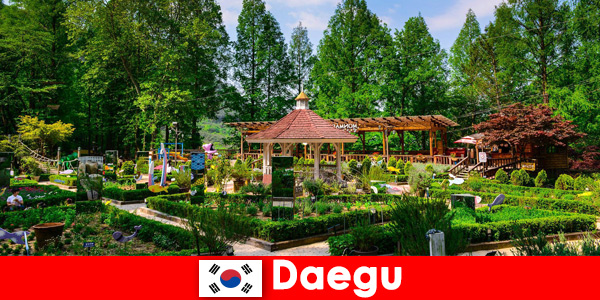 Güney Kore'deki Daegu, çeşitlilik ve birçok manzaraya sahip şehir