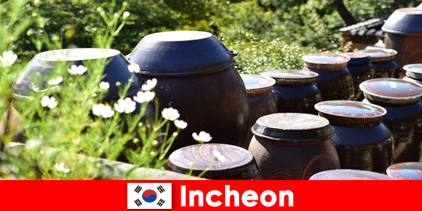 Incheon Güney Kore'de dağ göllerini ve çeşitli bitkileri gözlemleyin