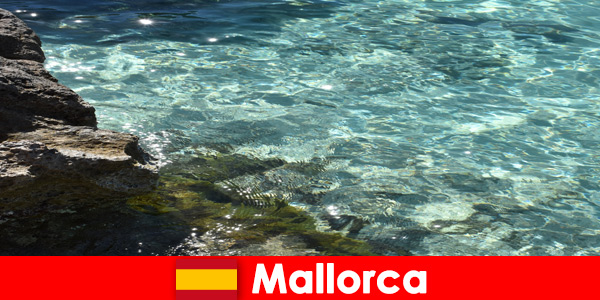 Tüm ziyaretçiler için rüya gibi bir özlem yeri İspanya'daki Mallorca'dır
