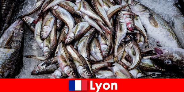 Lyon'da tadını çıkarmak için mükemmel pişirilmiş taze balık ve deniz ürünleri