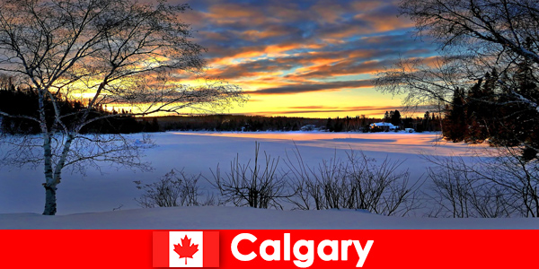 Calgary'de tatilciler için özel bir atmosfere sahip bir kış manzarasının keyfini çıkarın